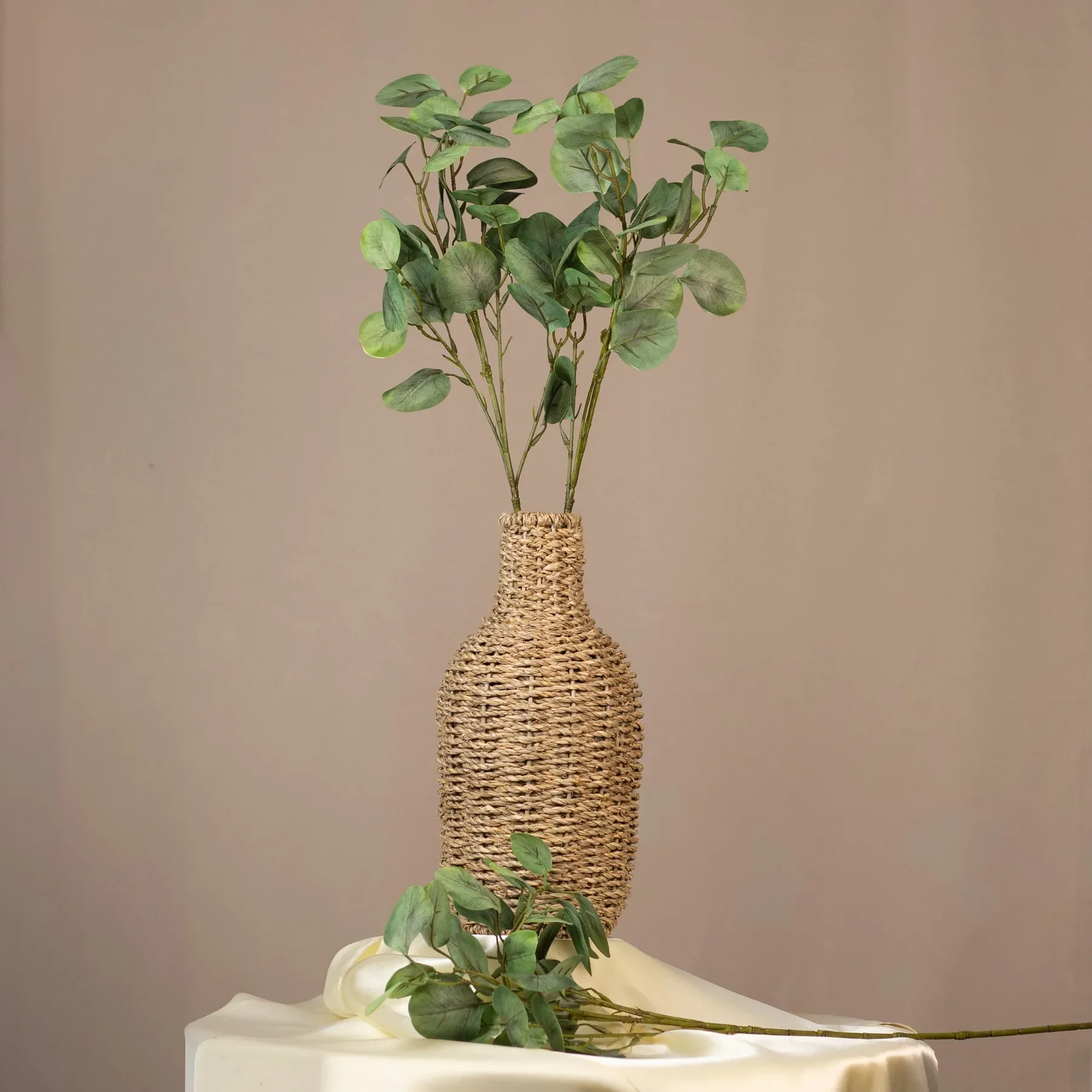 Eukalyptus okrúhly