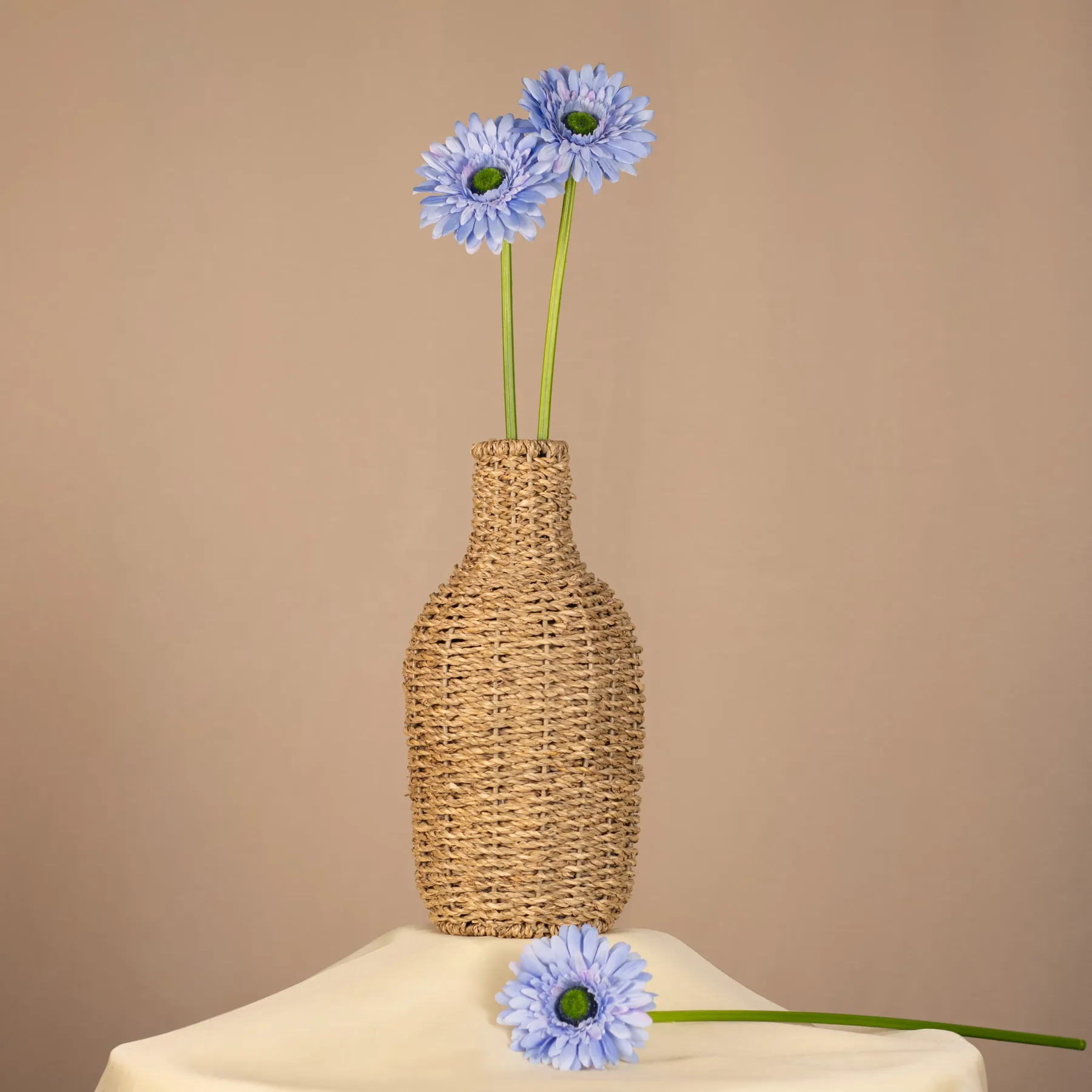 Gerbera na stonke