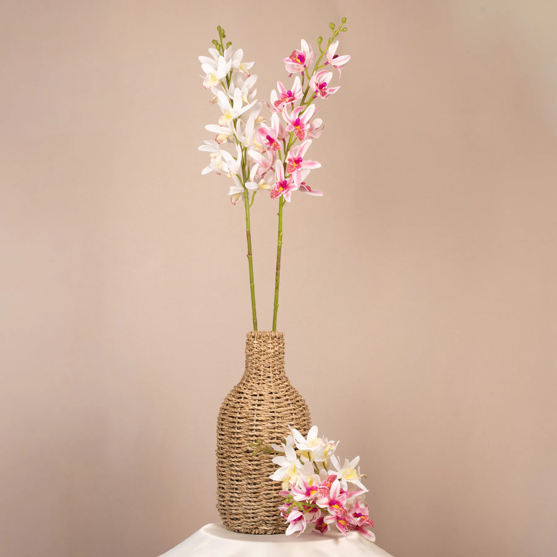 Orchidea cymbidium na stonke